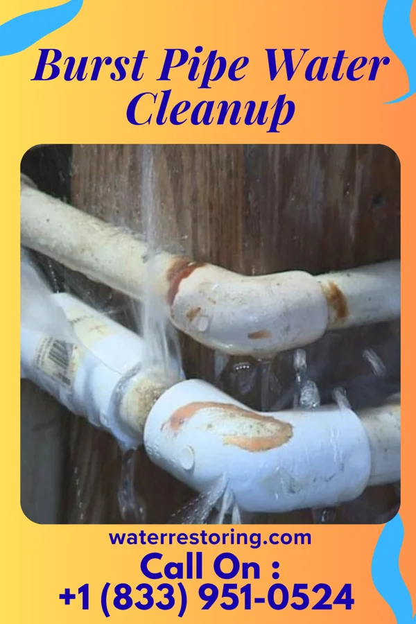 Burst Pipe Water Cleanup in Onward, IN