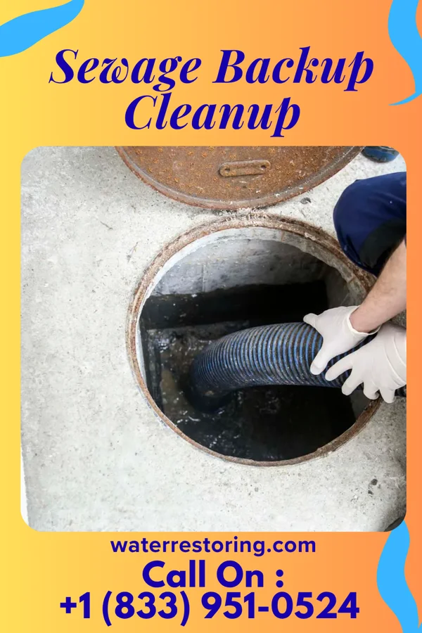 Sewage Backup Cleanup in Onward, IN
