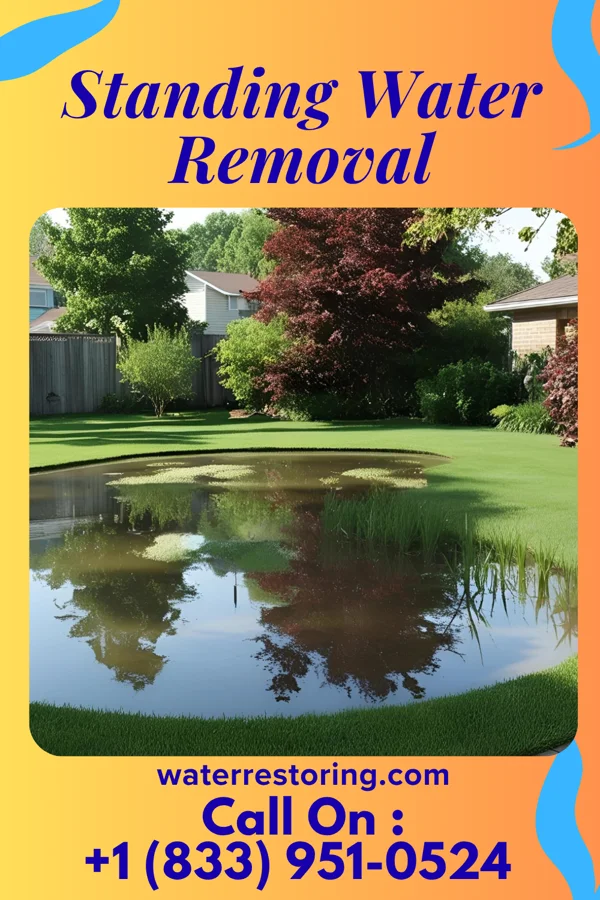 Standing Water Removal in Onward, IN